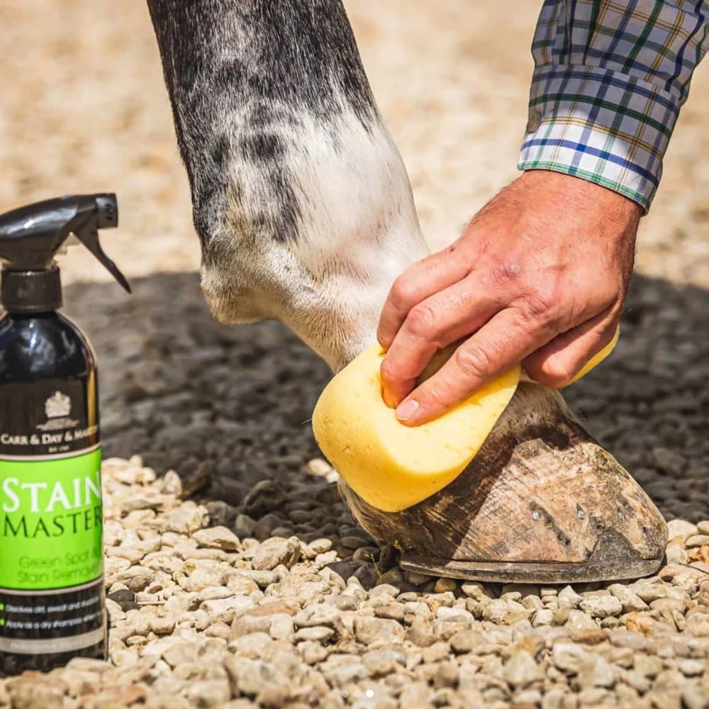 How to Remove Stains on Horses - Top Paddock
