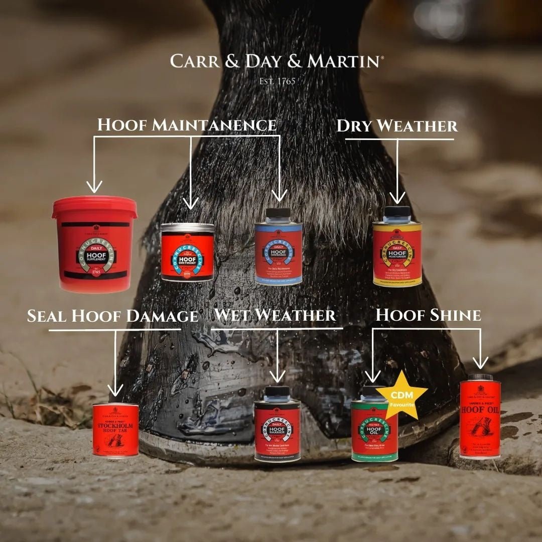Ultimate Guide to Hoof Care: Top Products Unveiled - Top Paddock