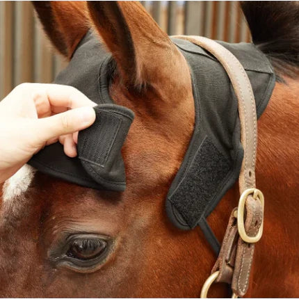 Close-up of a Therapeutic Horse Poll Cap being adjusted on a horse's head, showing velcro straps for easy fitting and secure placement.