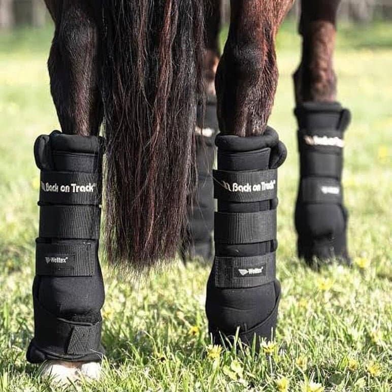 Back On Track Royal Quick Wraps on a horse's legs, designed for reducing swelling and providing therapeutic support. Ideal for stable or travel use.