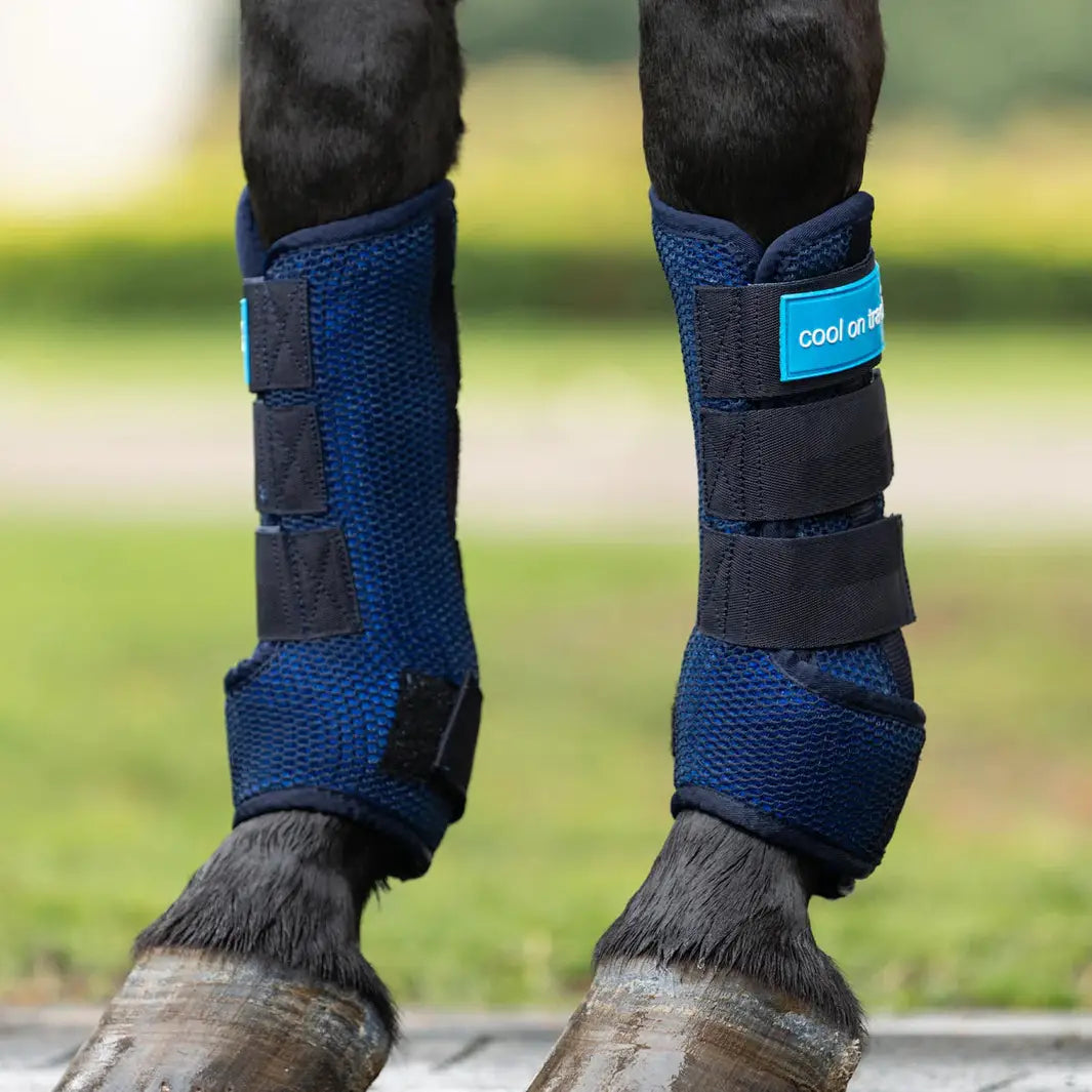 Cool On Track Quick Wraps applied on horse legs, offering reusable cooling therapy without ice for equine rehab and post-exercise recovery.