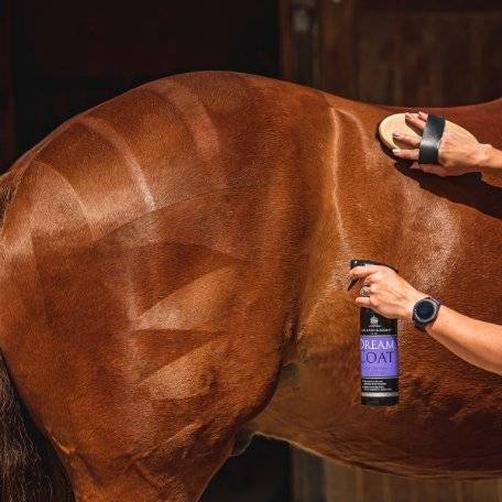 CDM Dreamcoat being applied to a horse's coat, highlighting its ability to create a high-gloss, professional finish.