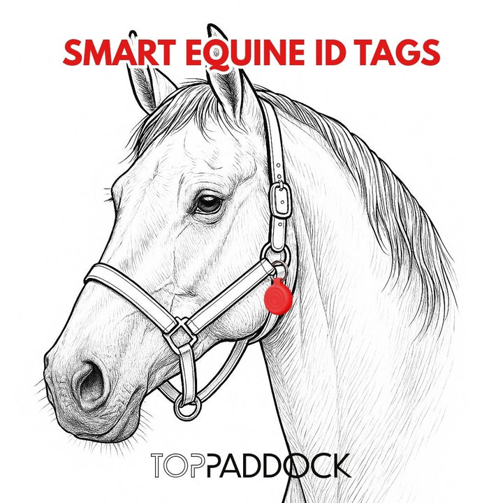 Personalised Smart Equine ID Tag