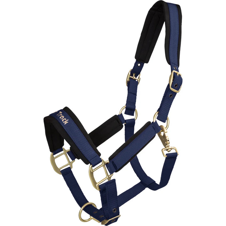 Werano Therapeutic Horse Halter by Back On Track Australia in navy blue with Welltex® padding for enhanced comfort and circulation.