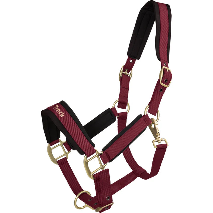 Werano Therapeutic Horse Halter by Back On Track Australia in burgundy red with Welltex® padding for therapeutic muscle relaxation.