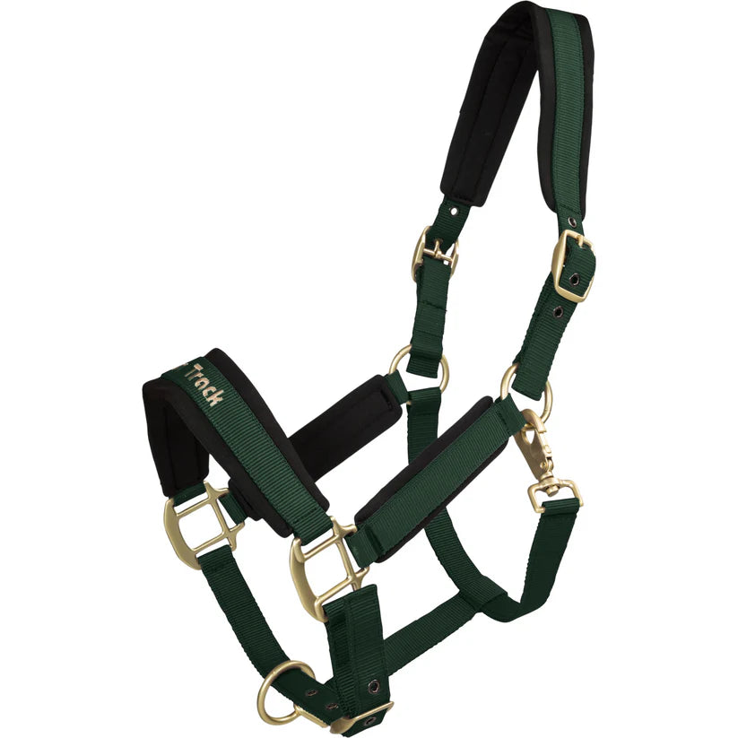 Werano Therapeutic Horse Halter by Back On Track Australia in forest green with Welltex® padding for improved blood flow and comfort.
