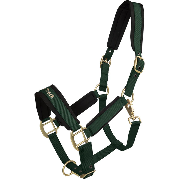 Werano Therapeutic Horse Halter by Back On Track Australia in forest green with Welltex® padding for improved blood flow and comfort.