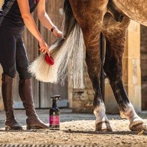 Person grooming a horse's tail using Canter Mane and Tail Conditioner Spray, ensuring a tangle-free and silky finish.