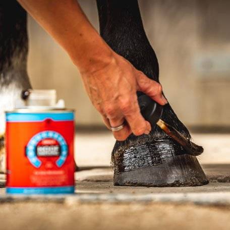Close-up of a person applying CDM Cornucrescine Daily Hoof Dressing to a horse's hoof, ensuring nourishment and protection for hoof health.