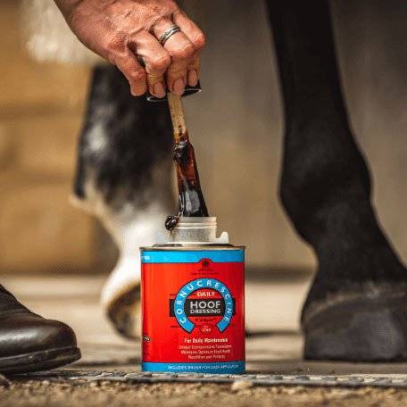 Person using the built-in brush to apply CDM Cornucrescine Daily Hoof Dressing to a horse's hoof. Promotes healthy and strong hooves.