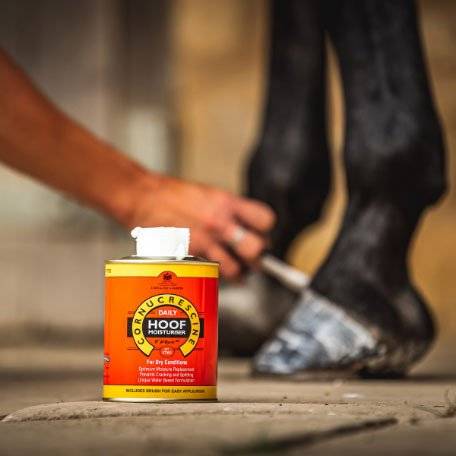 CDM Cornucrescine Daily Hoof Moisturiser tin placed on the ground with a person applying the product to a horse's hooves in the background.
