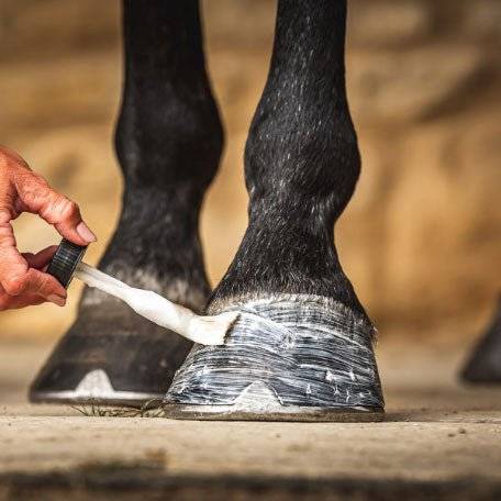 Close-up of a person using a brush to apply CDM Cornucrescine Daily Hoof Moisturiser to a horse's hooves for maintenance and protection.