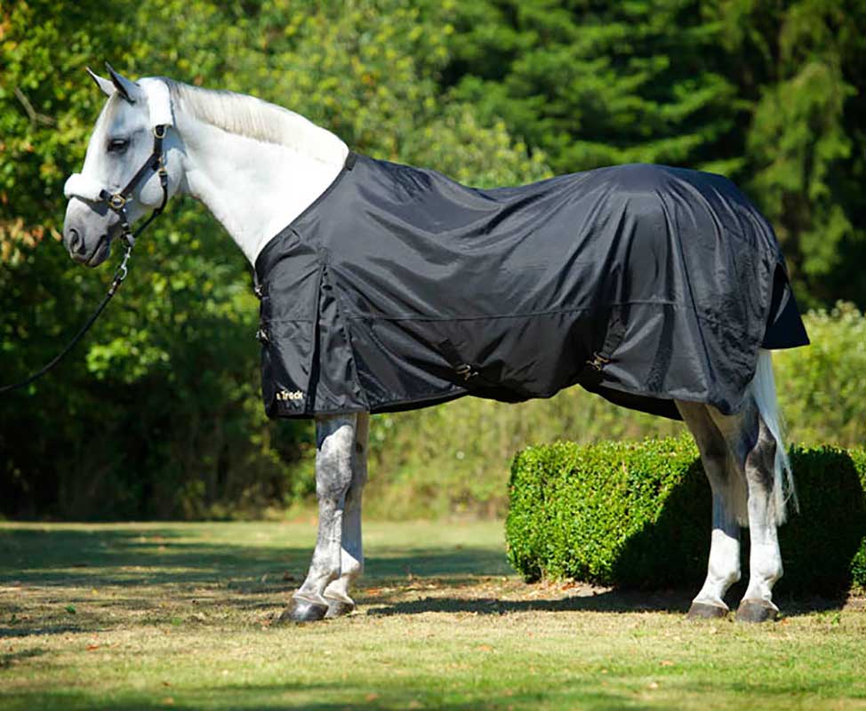 White horse wearing the Classic Turnout Rain Rug in black, providing waterproof protection and breathable comfort outdoors.