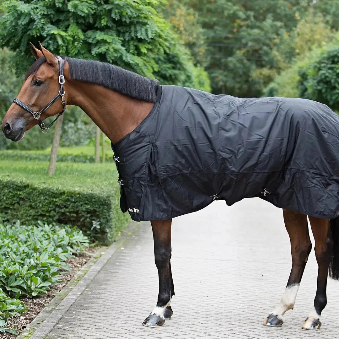 Brown horse standing outdoors wearing the Classic Turnout Rain Rug, offering waterproof and therapeutic benefits.