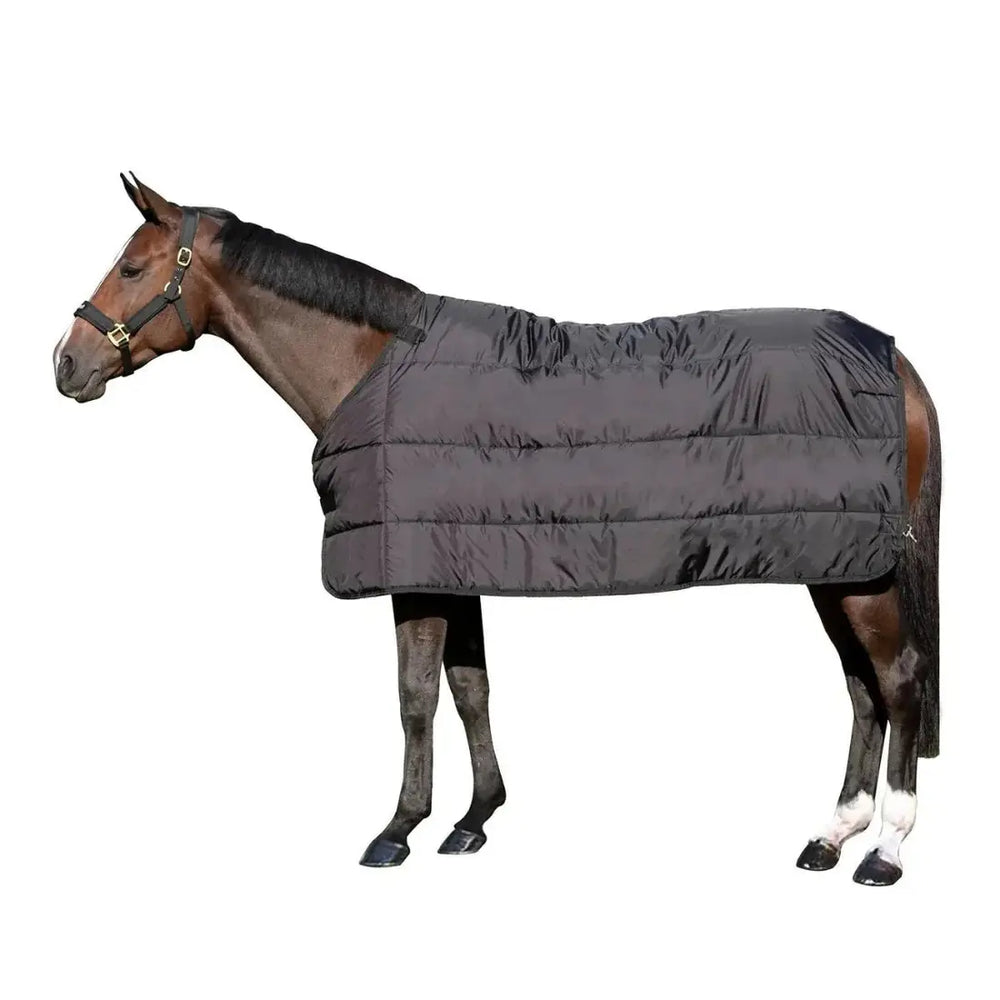 Felix Rug Liner - Top Paddock
