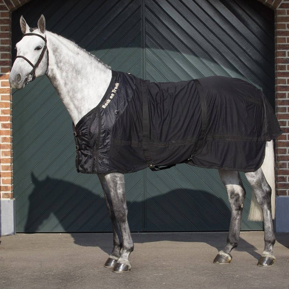 White horse wearing the black Therapeutic Horse Mesh Rug by Back On Track Australia, standing in front of a stable door.