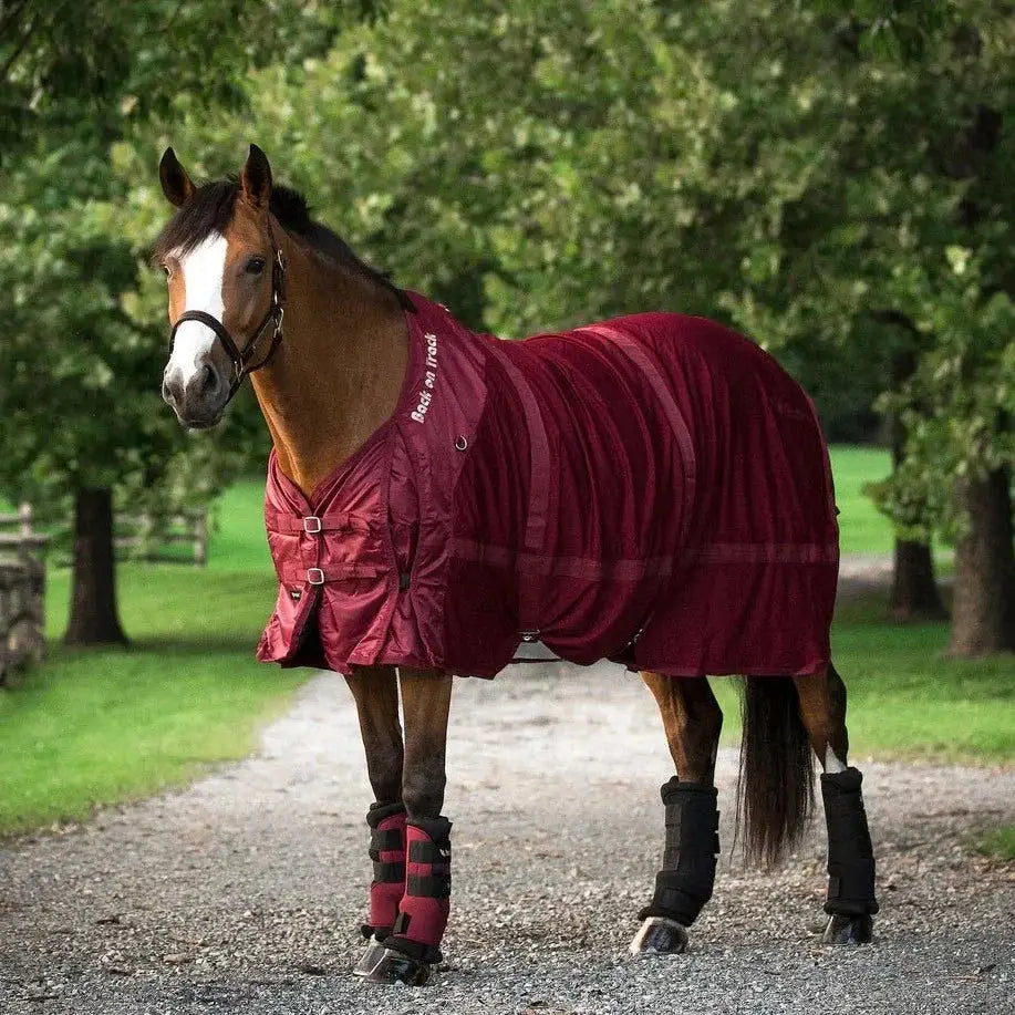 Brown horse wearing the red Therapeutic Horse Mesh Rug by Back On Track Australia in a scenic outdoor setting, ideal for therapy use.