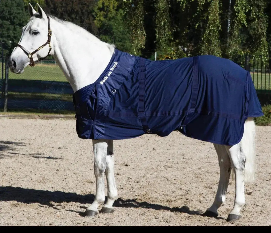 White horse wearing the navy Therapeutic Horse Mesh Rug by Back On Track Australia, designed for equine muscle therapy and comfort.