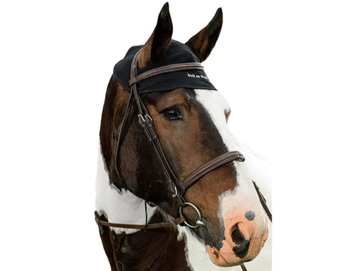 Horse wearing a Therapeutic Horse Poll Cap in black, designed to calm nervous horses by covering the atlas and axis areas.