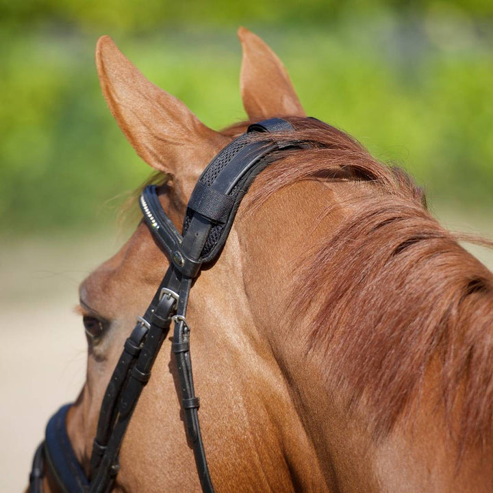 Therapeutic poll cover attached to a horse's bridle, providing comfort and pressure distribution for equestrian therapy.