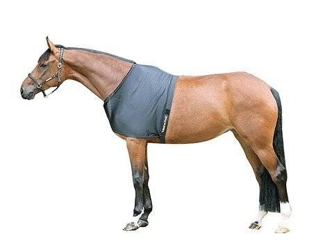 Brown horse in profile view wearing a black therapeutic shoulder guard with pads, designed to reduce rubbing and improve movement.