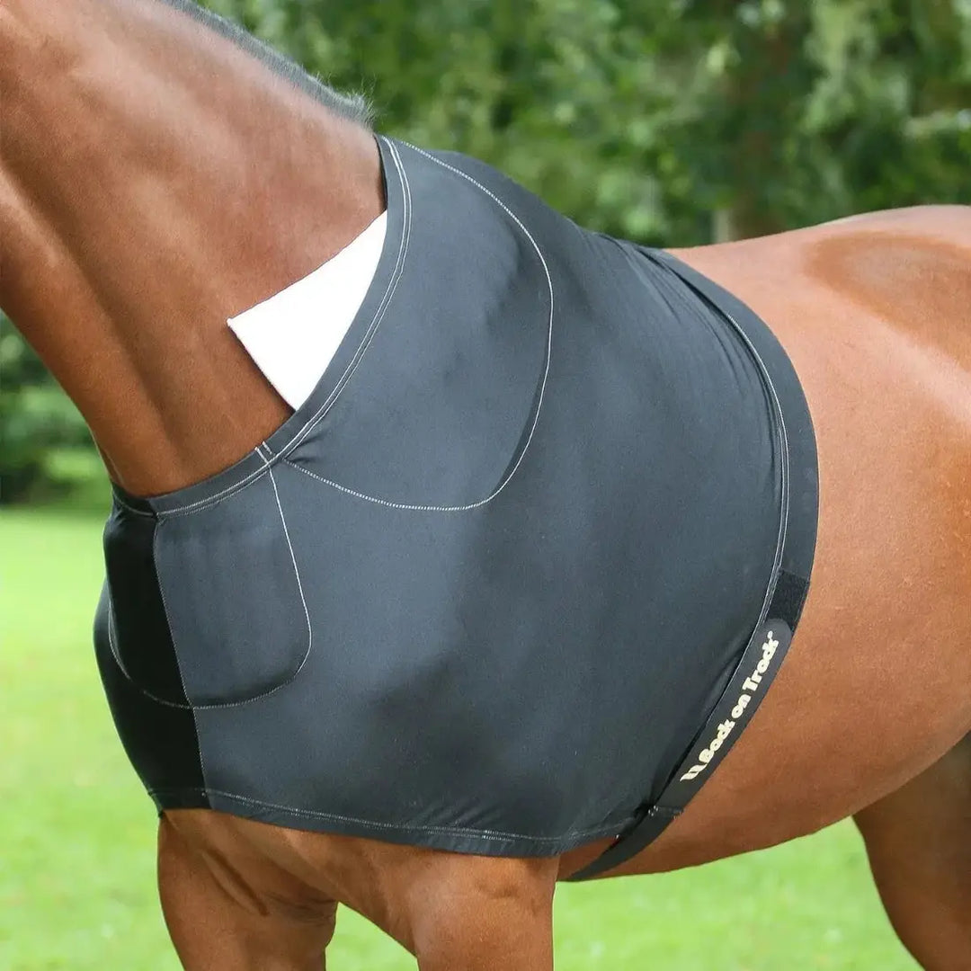 Horse wearing a black therapeutic shoulder guard with pads, providing comfort and protection against chafing.
