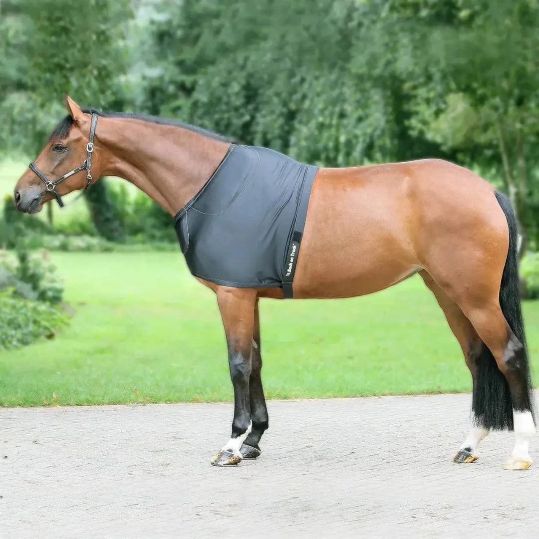 Full side view of a brown horse outdoors wearing a black therapeutic shoulder guard with pads for comfort and protection.