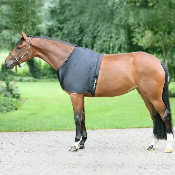 Full side view of a brown horse outdoors wearing a black therapeutic shoulder guard with pads for comfort and protection.