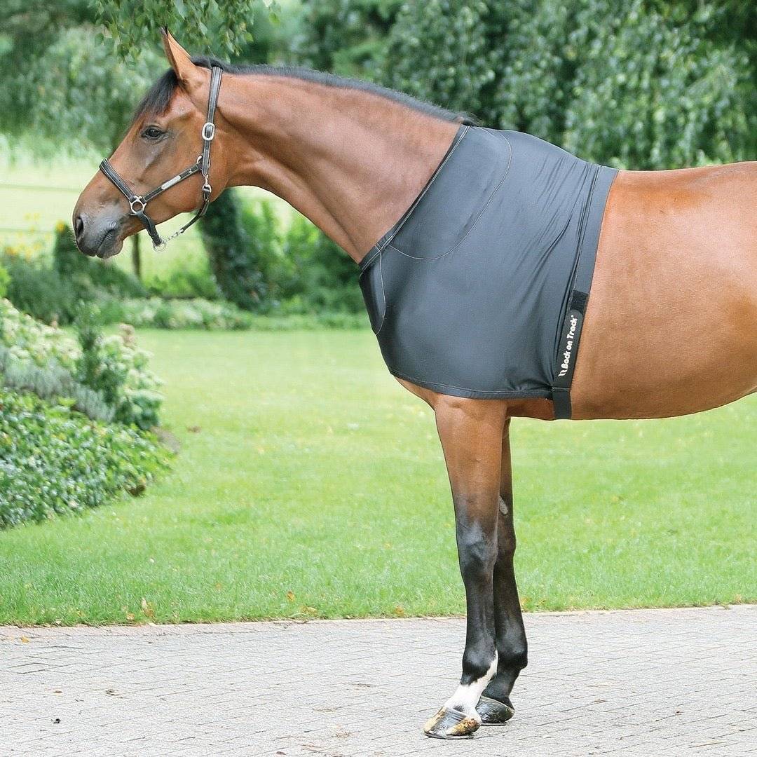 Brown horse standing outdoors wearing a black therapeutic shoulder guard with pads for enhanced shoulder mobility.