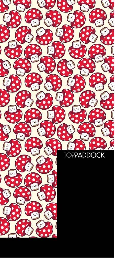 Limited Edition Compression Riding Socks - Top Paddock