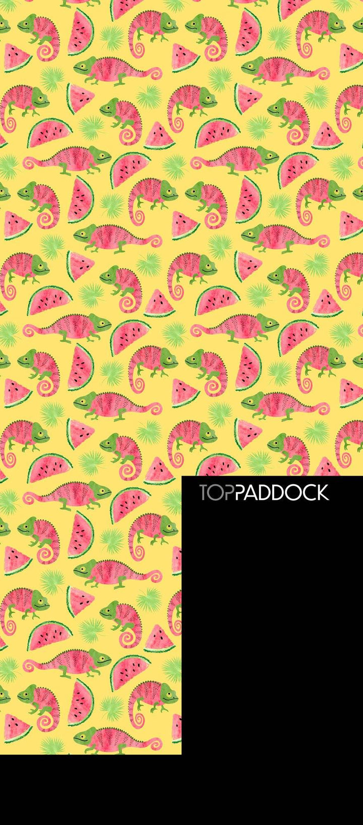 Limited Edition Youth Riding Socks with chameleon pattern - Top Paddock