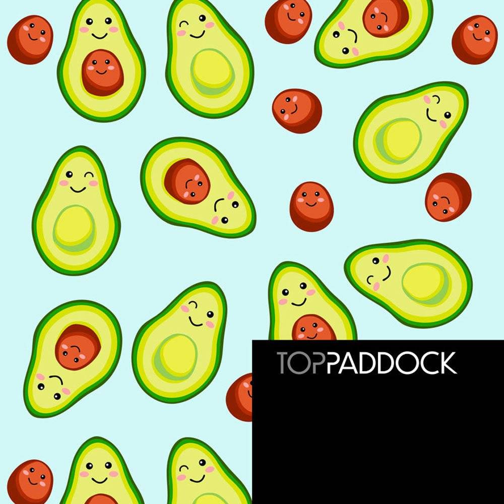 Limited Edition Youth Riding Socks with avocado pattern - Top Paddock