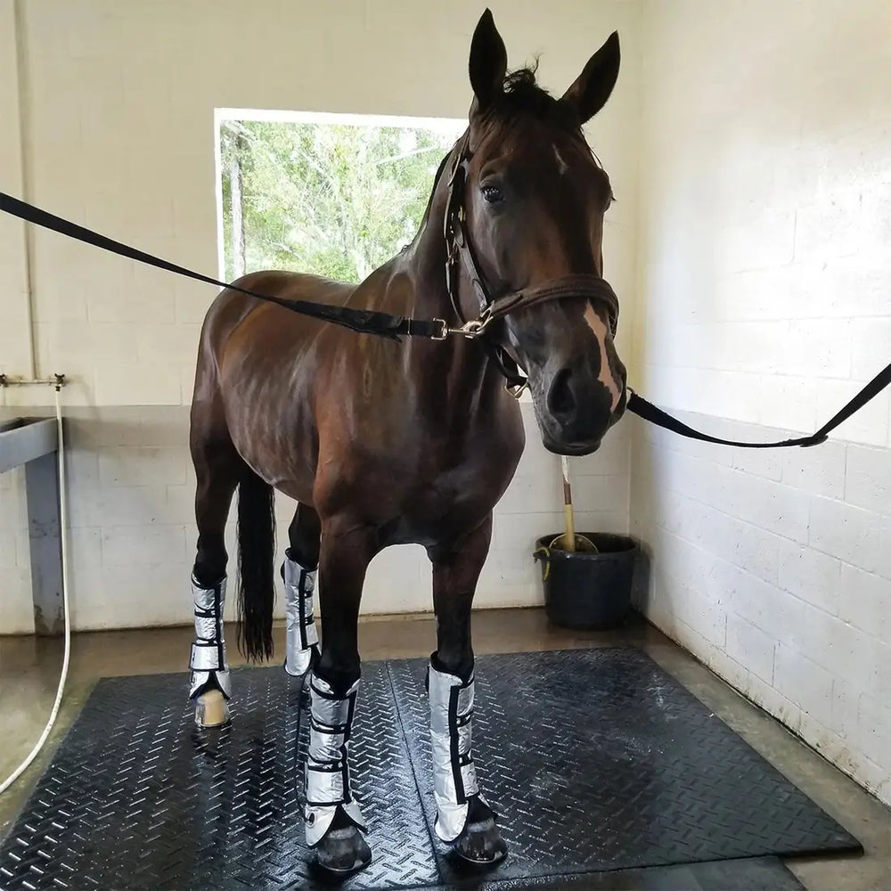Horse wearing Majyk Equipe Cool Compression Gel Ice Boots on all legs, standing in a wash bay for post-exercise recovery.