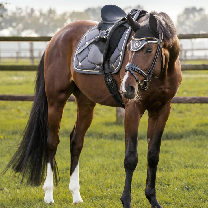 Night Collection - Dressage Saddle Pads - Top Paddock