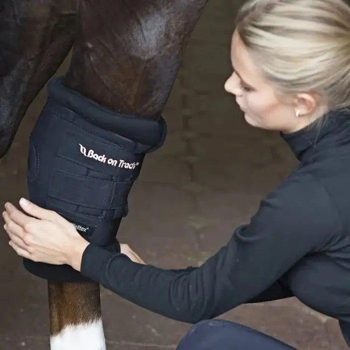 Therapeutic Back On Track Royal Padded Hock Boot being applied to a horse's leg, showcasing its ergonomic design and secure fit.
