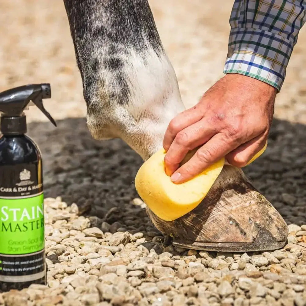 Person using Stain Master horse stain remover with a sponge to clean a horse's leg and hoof on a gravel surface.