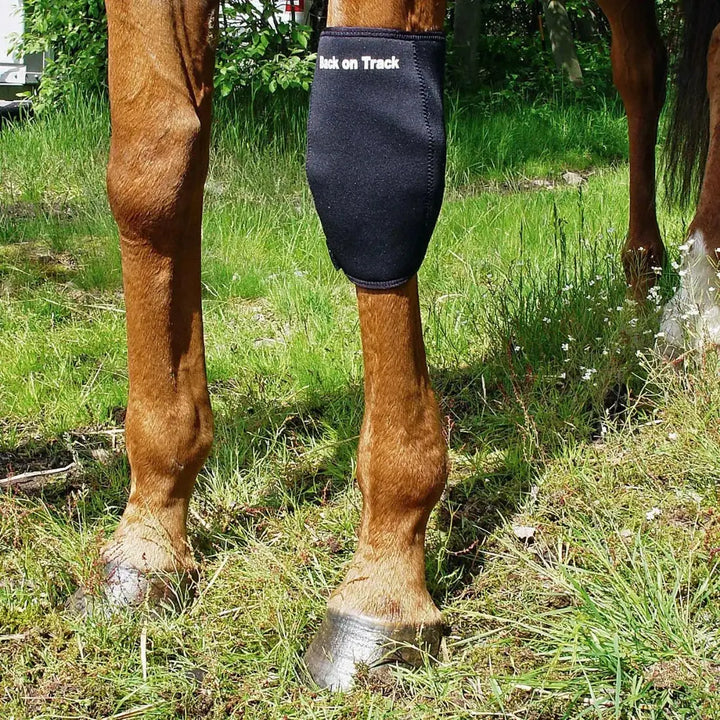 Black therapeutic horse knee boot by Back On Track Australia on a horse in a grassy outdoor setting, offering knee support and therapy.