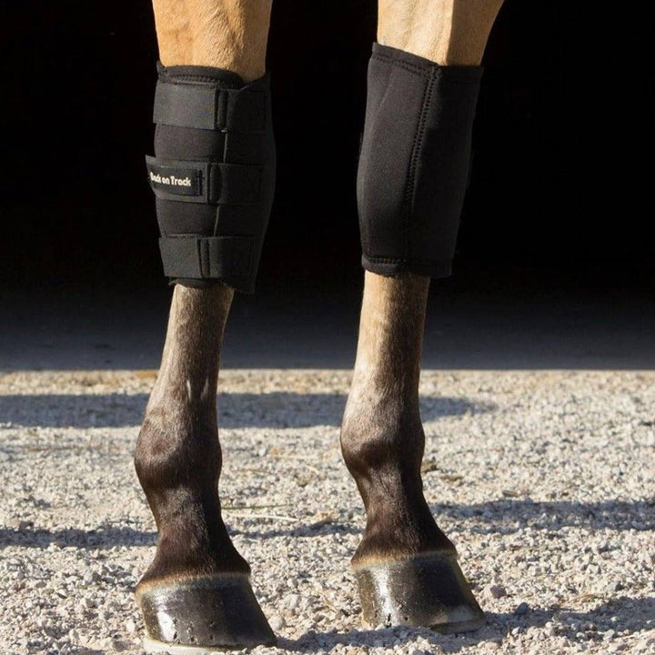 Pair of therapeutic horse knee boots by Back On Track Australia fitted on a horse, providing support and protection for the knee area.