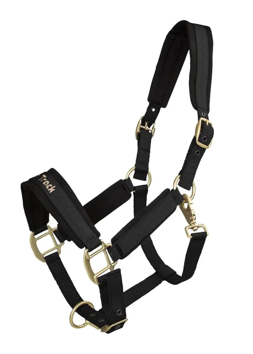 Werano Therapeutic Horse Halter by Back On Track Australia in black with Welltex® padding for improved blood circulation and muscle relaxation.
