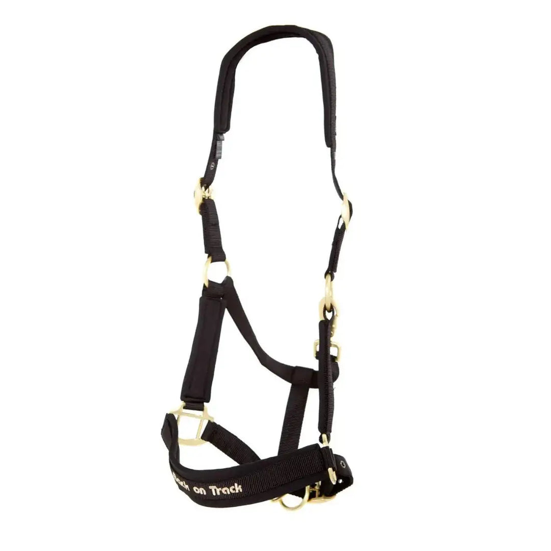 Werano Therapeutic Horse Halter by Back On Track Australia in black, shown flat with Welltex® padding for therapeutic benefits.
