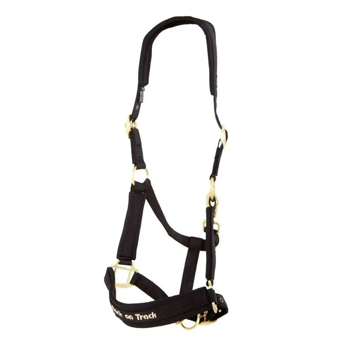 Werano Therapeutic Horse Halter by Back On Track Australia in black, shown flat with Welltex® padding for therapeutic benefits.