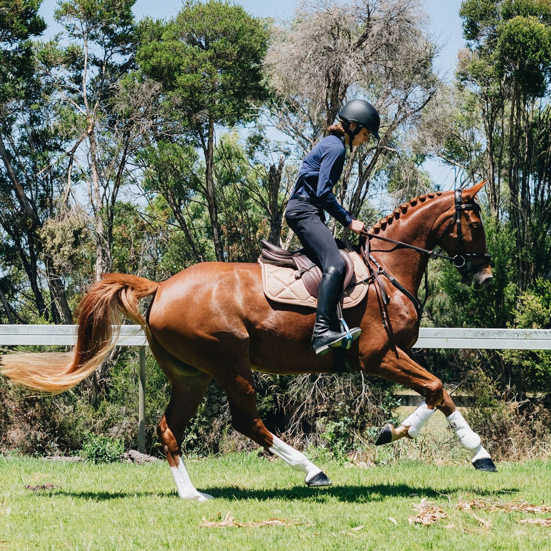 3 Easy Ways to get your Horse Competition Fit - Top Paddock