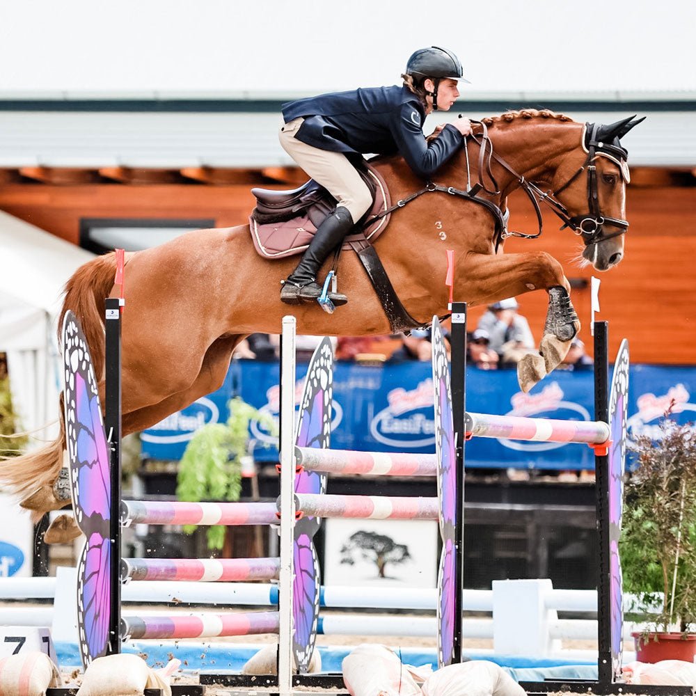 5 Tips for Success at Equestrian Competitions - Top Paddock