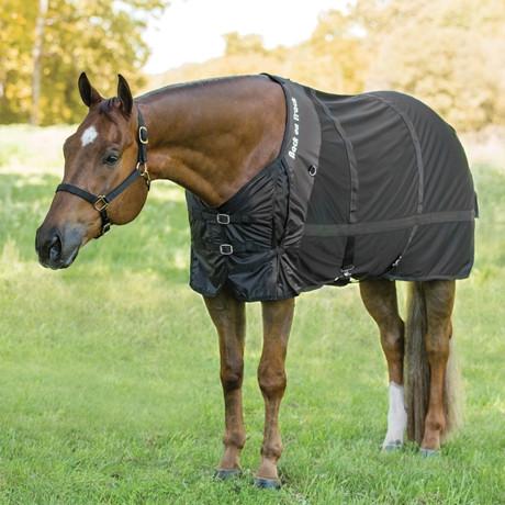 Benefits of Using Therapy Rugs – Top Paddock