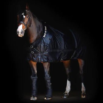 Changing Weather, Changing Rugs: A Guide to Transitioning Your Horse's Wardrobe - Top Paddock