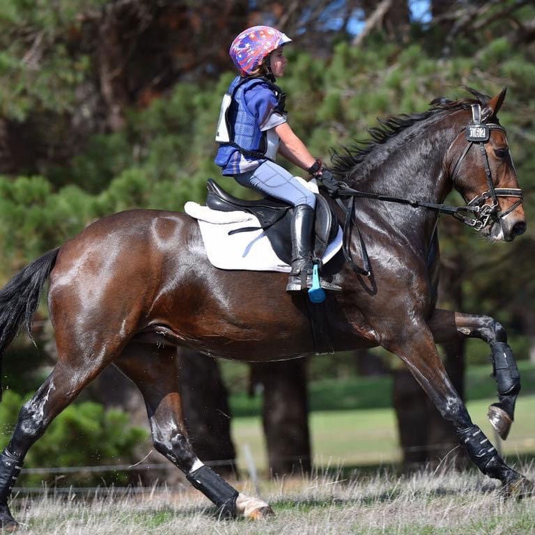 The Importance of Electrolytes for Your Horse's Health - Top Paddock