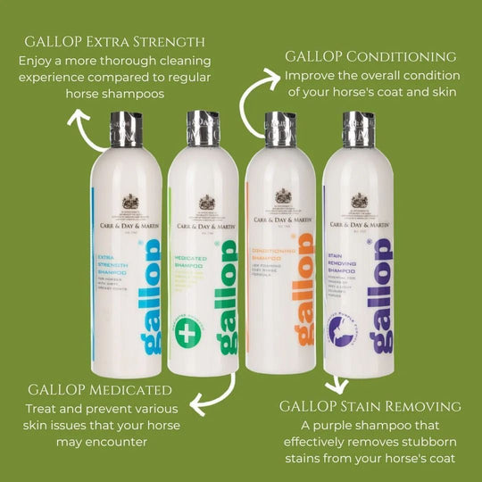 The Ultimate Horse Shampoo Breakdown for Stunning and Healthy Coats