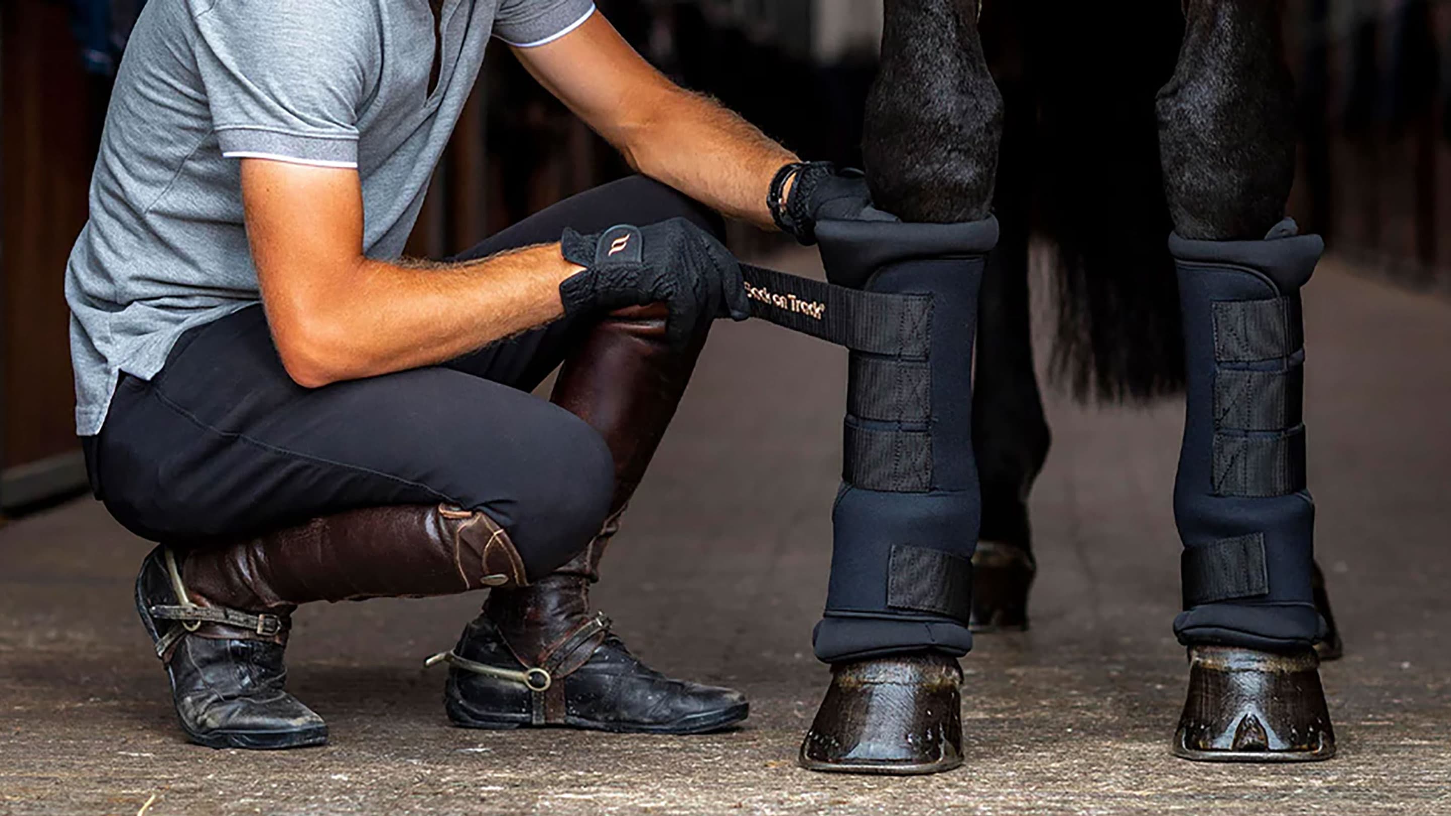 Back On Track stable boots for horses Online Size Quiz