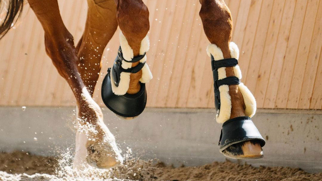 Horse Boots Australia