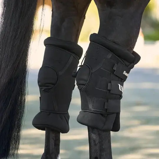 Deluxe Royal Padded Hock Boots
